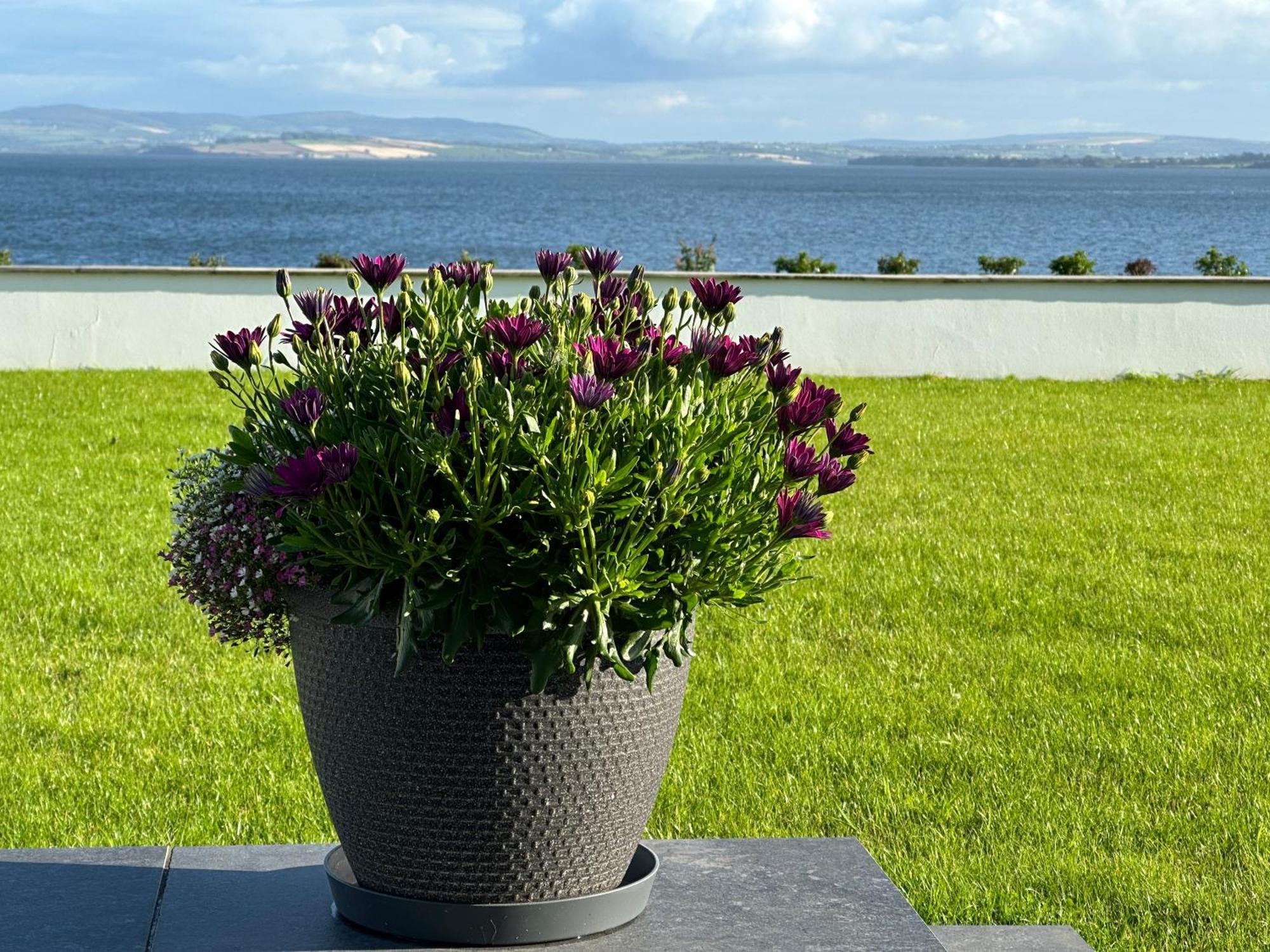 Villa Sea Vista - Rathmullan Esterno foto