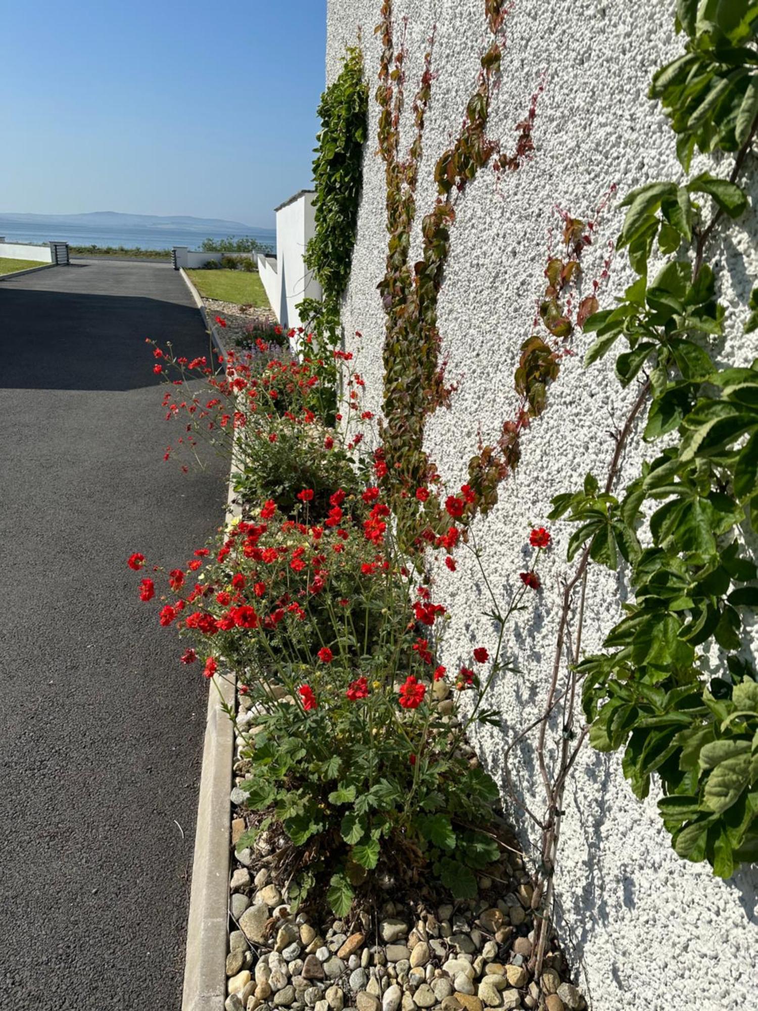 Villa Sea Vista - Rathmullan Esterno foto